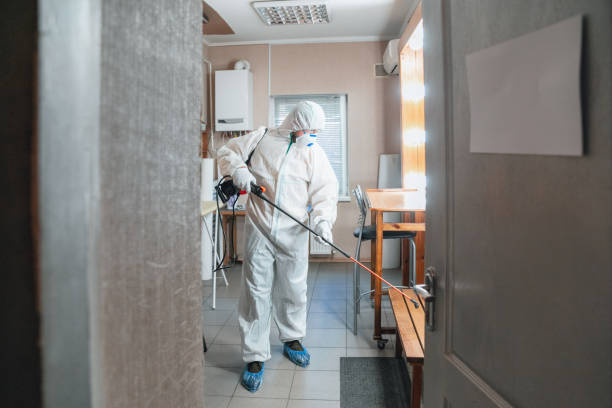 Best Black Mold Removal  in Pine Grove, PA