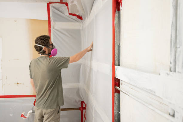 Best Post-Construction Mold Inspection  in Pine Grove, PA