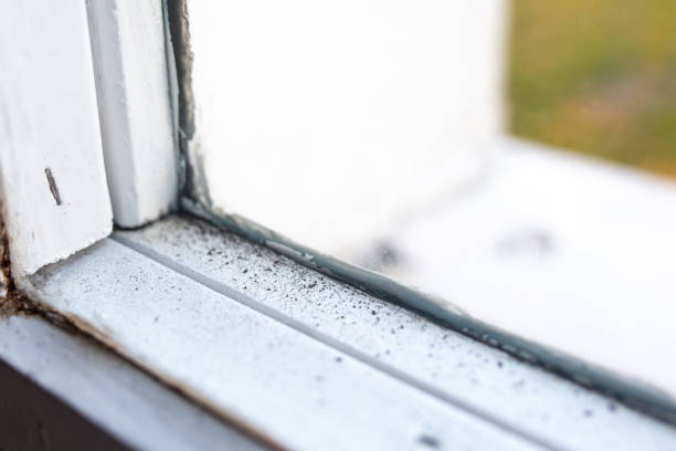 Mold Remediation for Vacation Homes in Pine Grove, PA