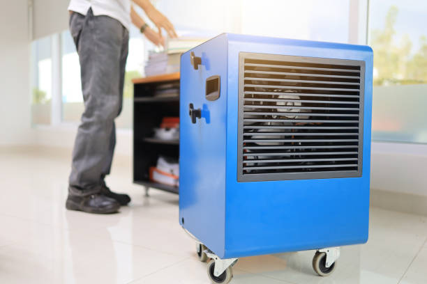 Best Dehumidification Services  in Pine Grove, PA